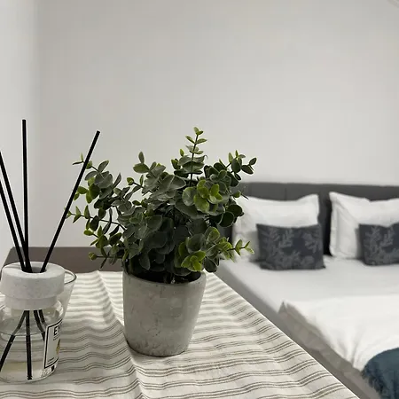 דירה Green Holidays קלוז'-נאפוקה